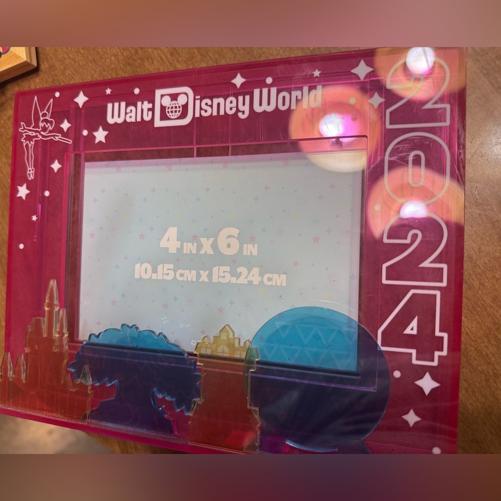 Walt Disney World 2024 Pink Photo Frame